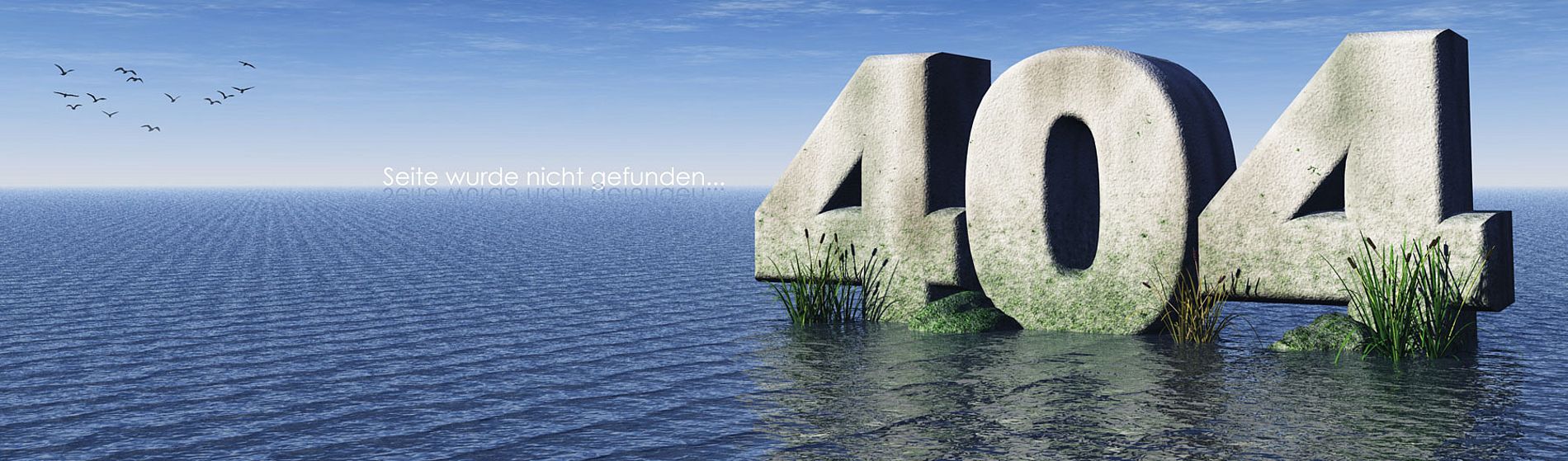 Quadronet Seite nicht gefunden